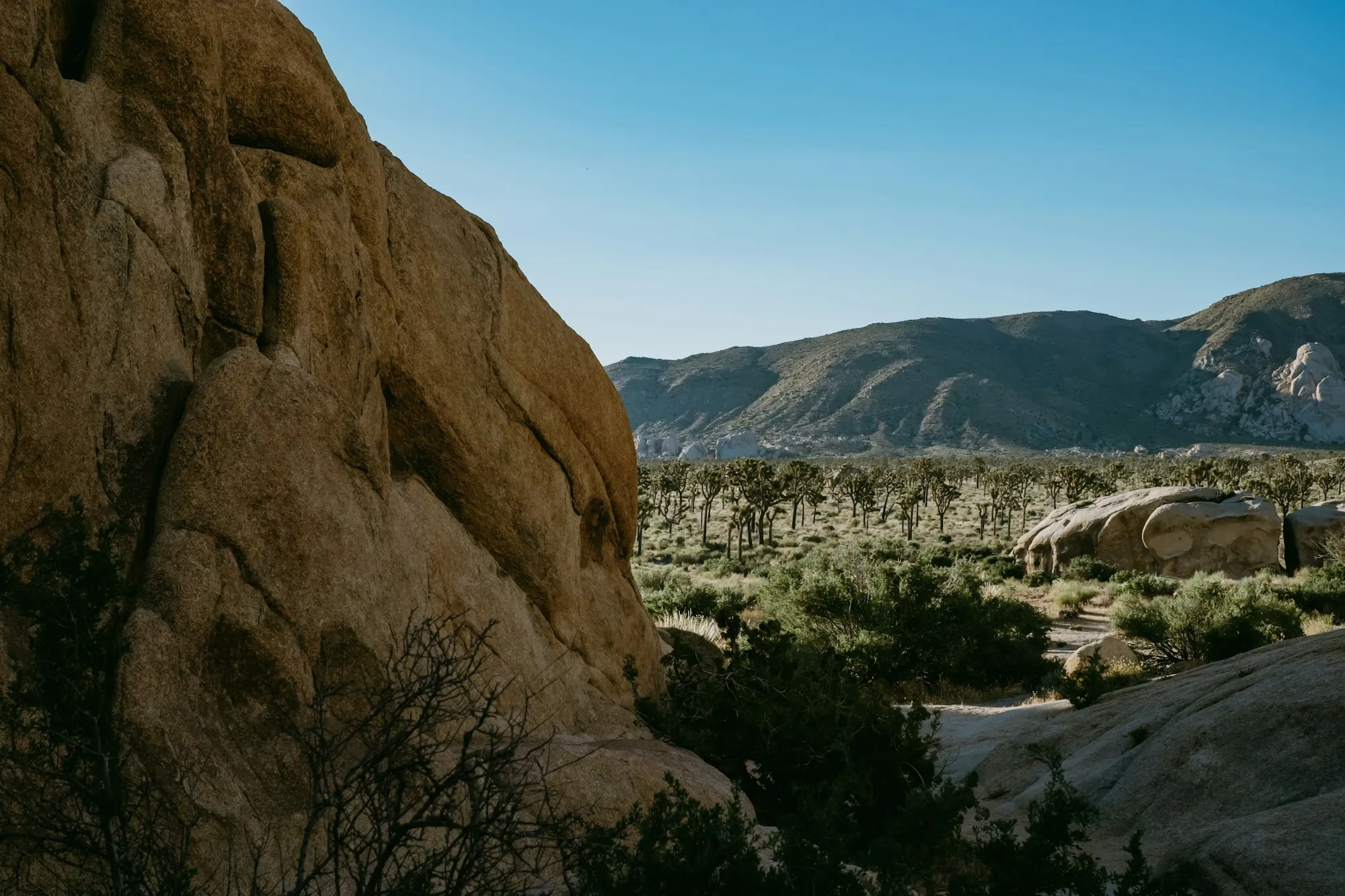 Sunrise over rocky mountains in Joshua Tree National Park