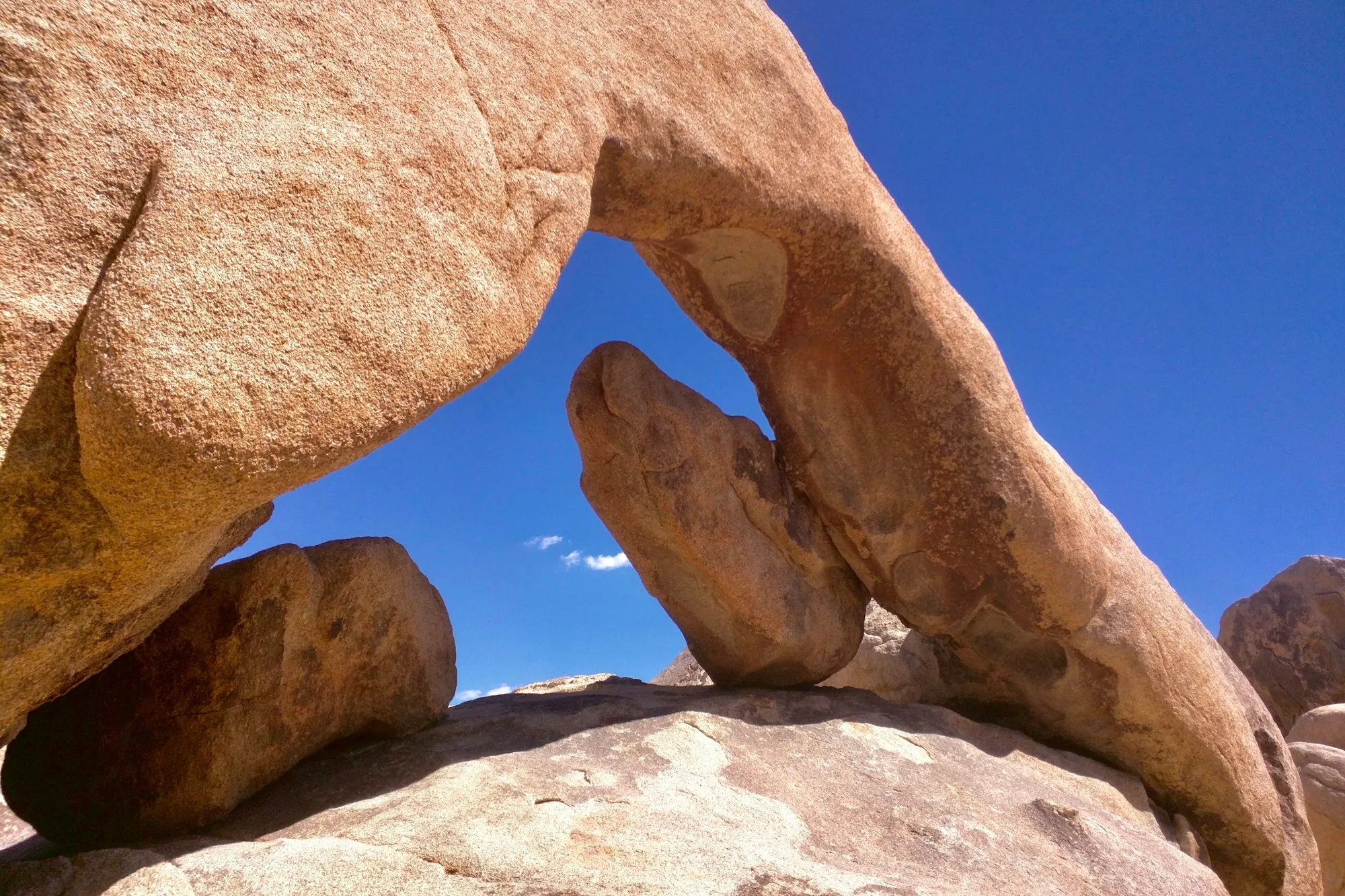 Arch Rock formation framing the desert sky in Joshua Tree National Park