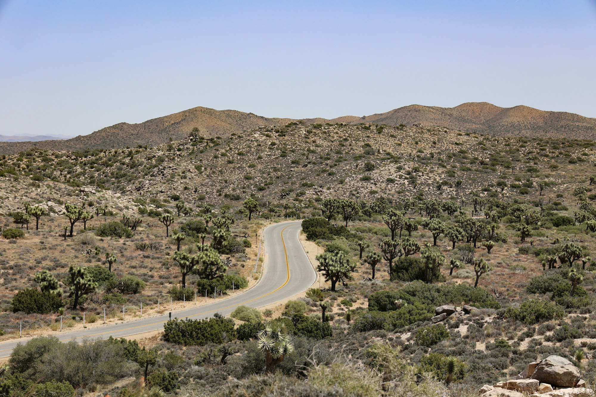 Winding road through the desert near Skull Rock in Joshua Tree National Park