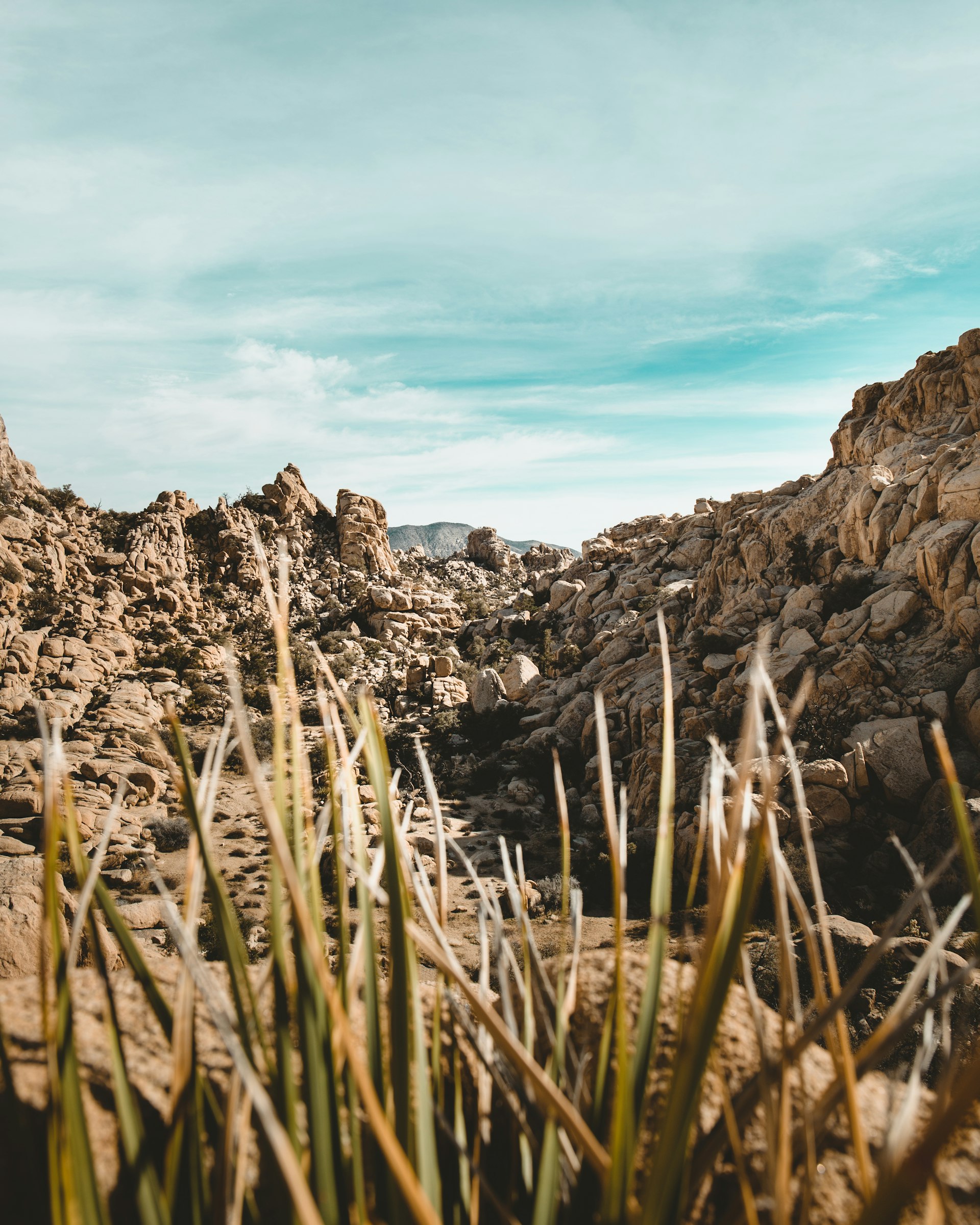 Desert boulders and landscape in the Morongo Basin