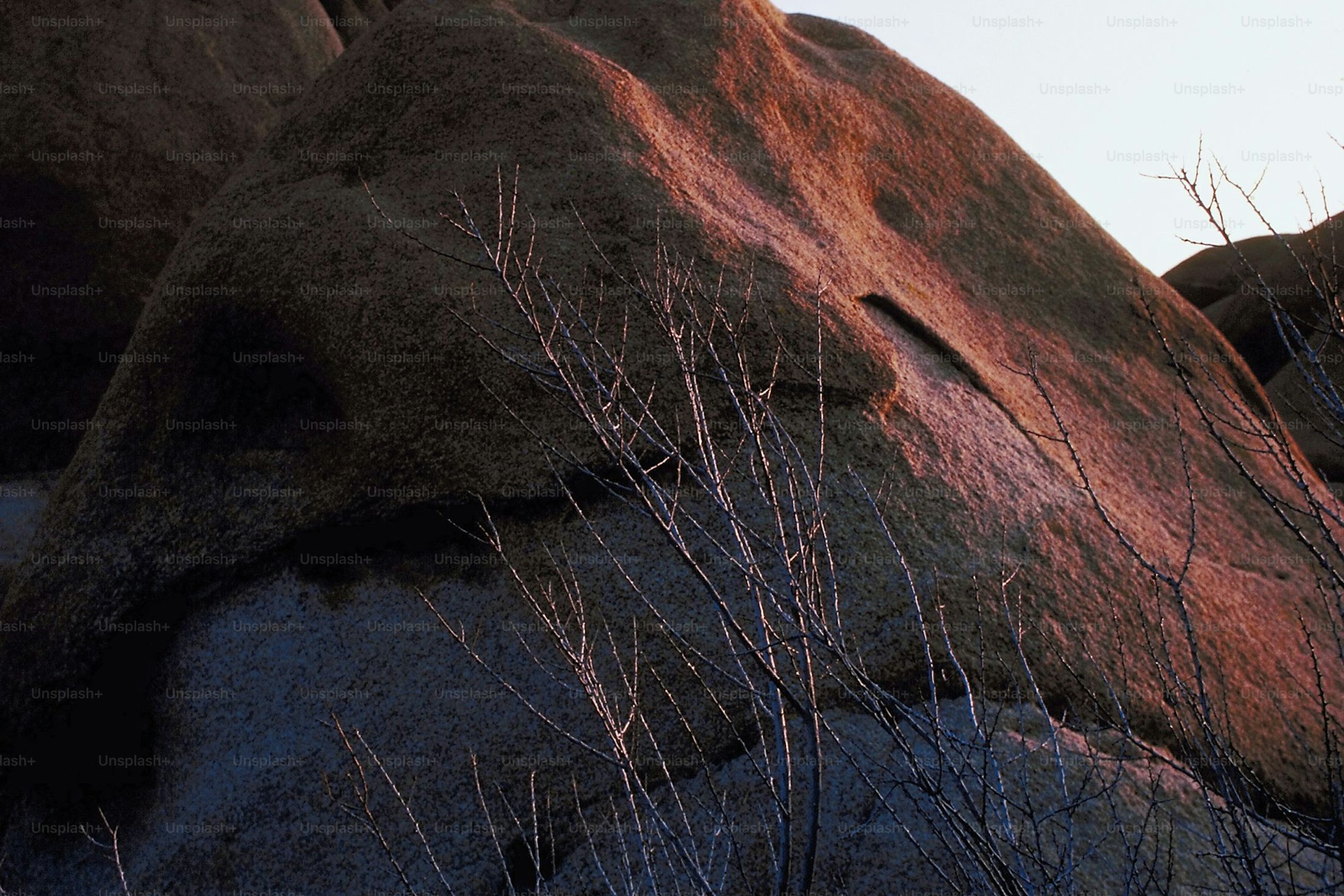 Cap Rock formation with Joshua trees growing from the boulders