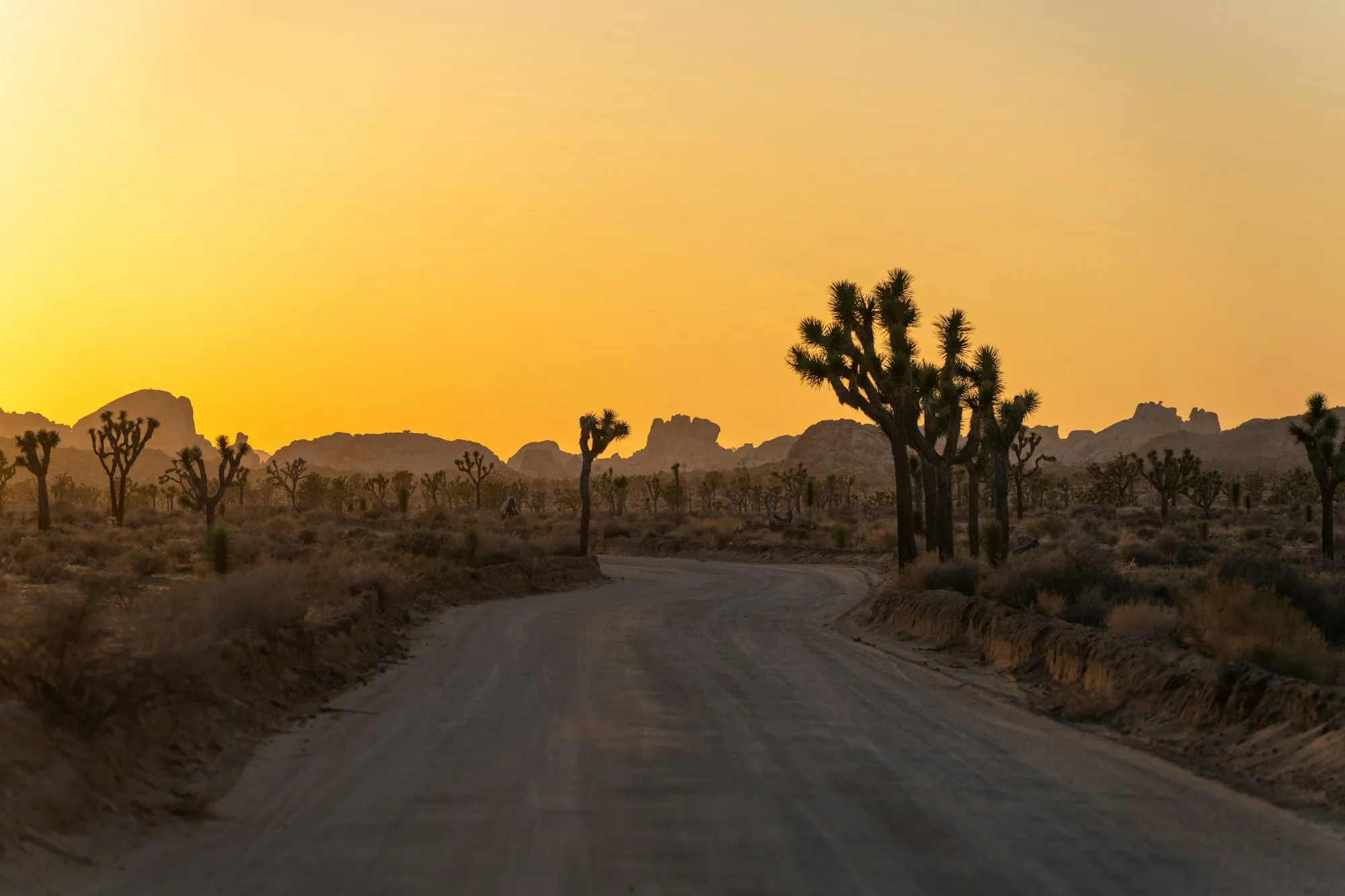 Desert landscape near Joshua Tree and the Morongo Basin
