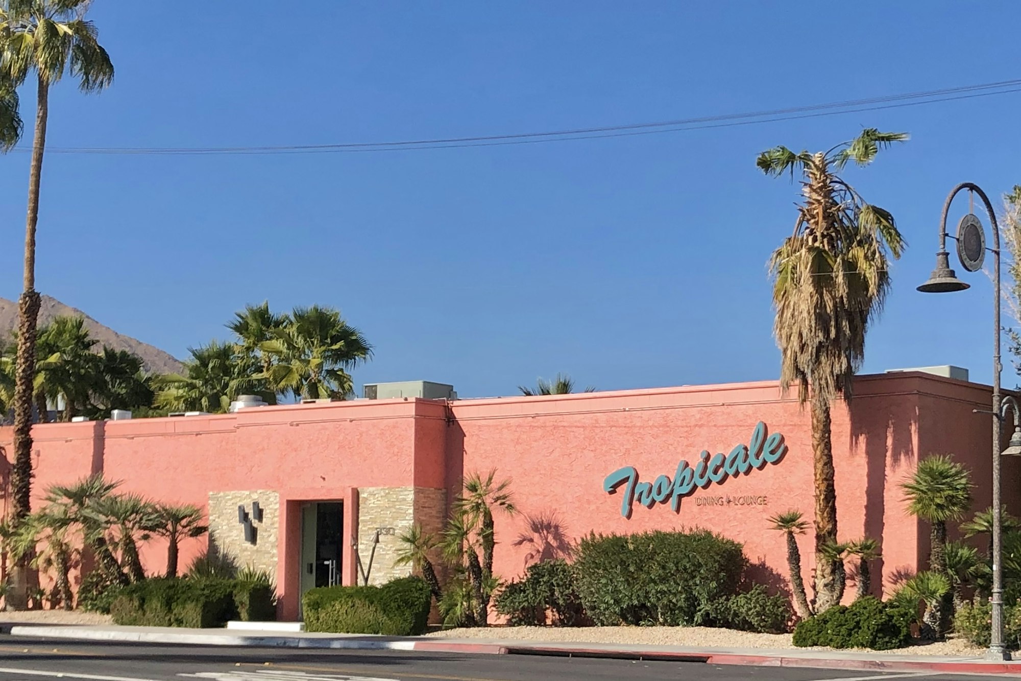 Mid-century restaurant building with palm trees in Palm Springs